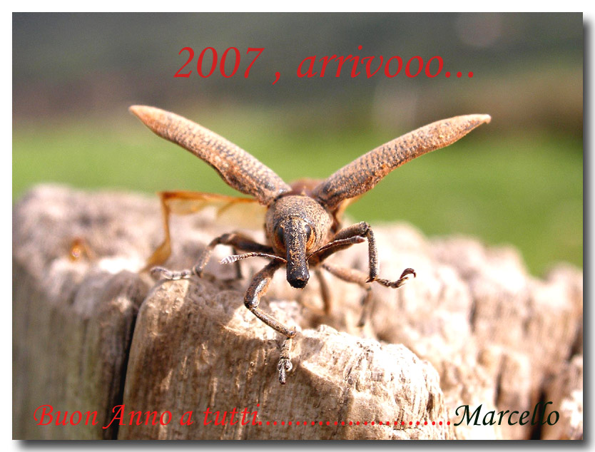 Un anno su e gi per la Sicilia
